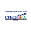 CFECF – BFA